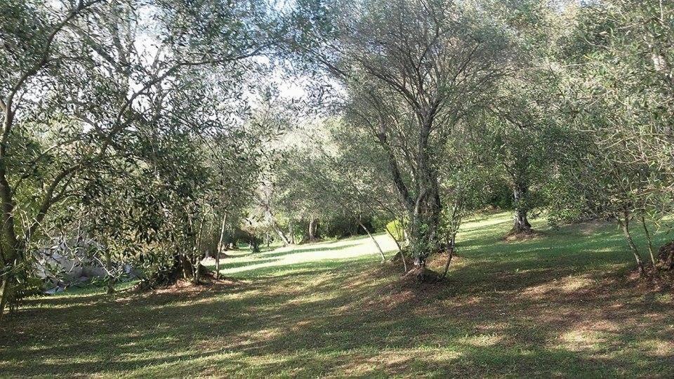 גאוביה Karamali Green Danilia Villas מראה חיצוני תמונה